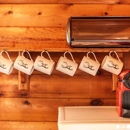 3 Bedroom Log Cabin In Snowdonia Nr Mtb Trails Tanygrisiau Ngoại thất bức ảnh