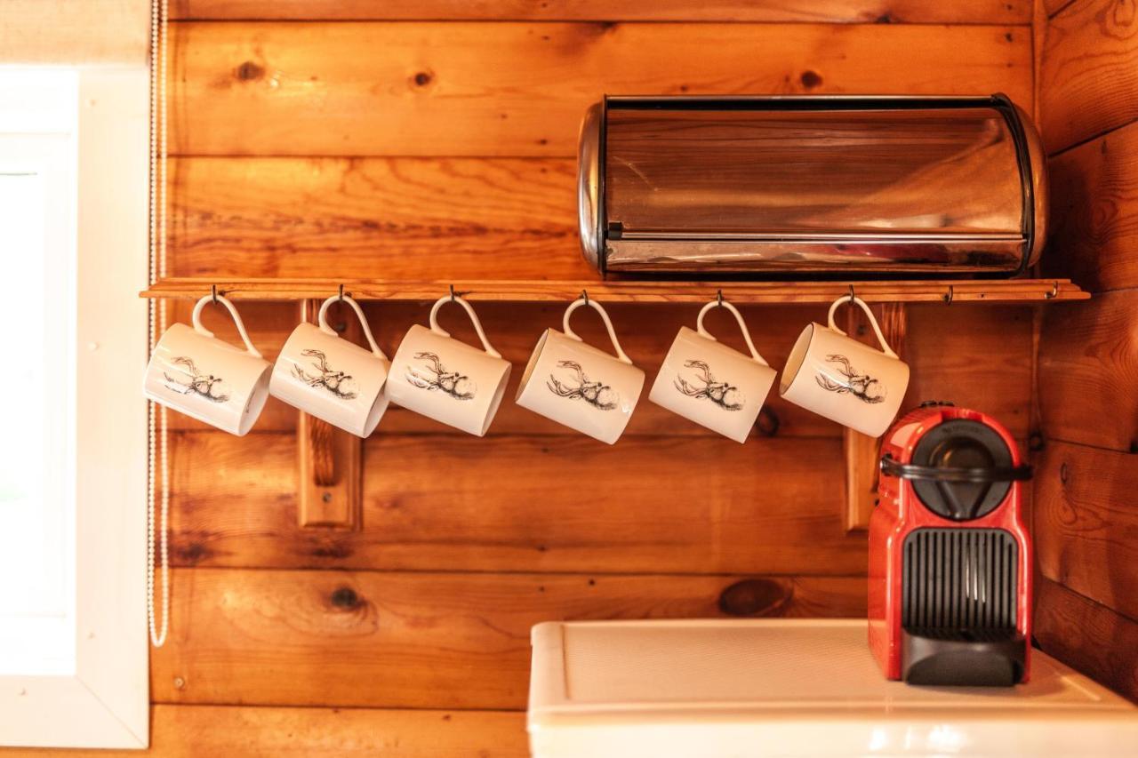 3 Bedroom Log Cabin In Snowdonia Nr Mtb Trails Tanygrisiau Ngoại thất bức ảnh
