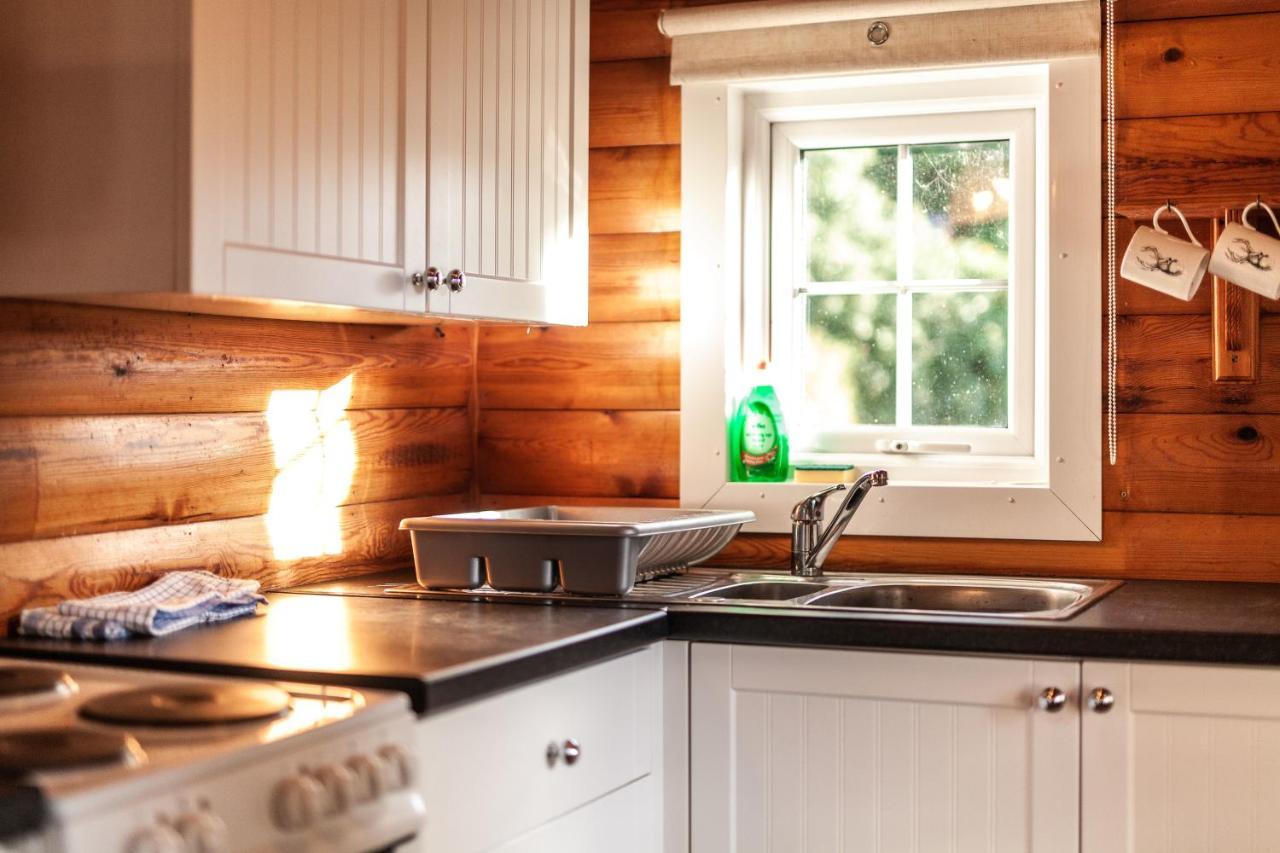 3 Bedroom Log Cabin In Snowdonia Nr Mtb Trails Tanygrisiau Ngoại thất bức ảnh