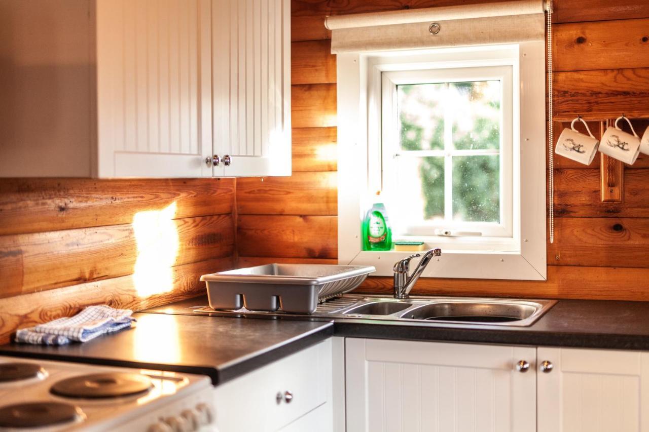 3 Bedroom Log Cabin In Snowdonia Nr Mtb Trails Tanygrisiau Ngoại thất bức ảnh